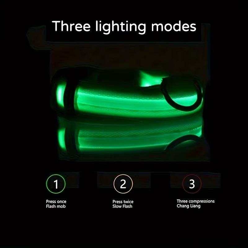 Nylon LED Night Safety Flashing Glow in the Dark Dog Leash Dogs Luminous Fluorescent Pet Dog Collar