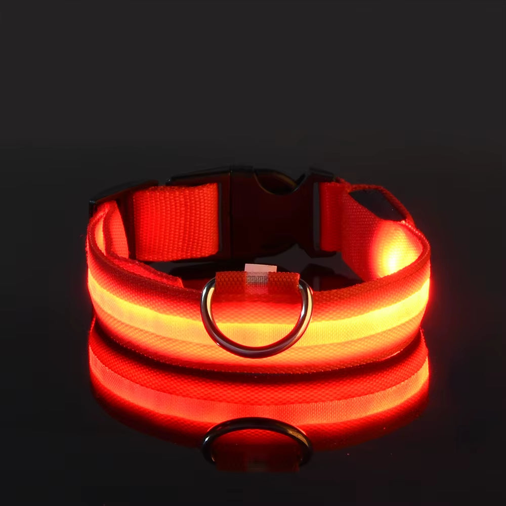 Nylon LED Night Safety Flashing Glow in the Dark Dog Leash Dogs Luminous Fluorescent Pet Dog Collar