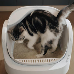 Petpivot Autoscooper 11: Open-Top Self-Cleaning Cat Litter Box with Odor-Free Disposal & Bonus Trash Bags