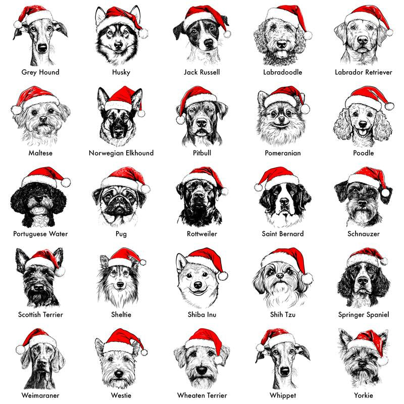Santa Paws Christmas Dog Sweatshirt – 50 Dog Breeds in Festive Santa Hat | Gildan Unisex Holiday Pullover