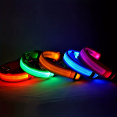 Nylon LED Night Safety Flashing Glow in the Dark Dog Leash Dogs Luminous Fluorescent Pet Dog Collar