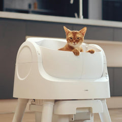 Petpivot Autoscooper 11: Open-Top Self-Cleaning Cat Litter Box with Odor-Free Disposal & Bonus Trash Bags