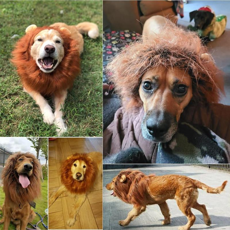Lion Costume, Costumes for Medium Large Dogs, Lion Mane, Halloween Costumes, Lion Mane for , Fits Size 19"- 29"